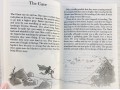 Roald Dahl 20 Books Collection