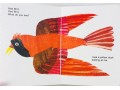 Brown Bear Collection by Bill Martin/Eric Carle