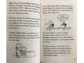 Diary of an Awesome Friendly Kid