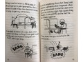 Diary of an Awesome Friendly Kid