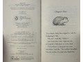 The Hodgeheg