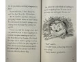 The Hodgeheg