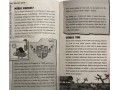 Kay's Brilliant Brains: A World Book Day 2023 Mini Book