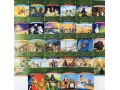 Magic Tree House 1-36