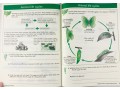  Understanding Science: Animals & Plants