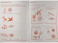 Early Comprehension 2 Schofield&Sims 