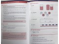 KS2 Fractions 4. Teacher's Guide