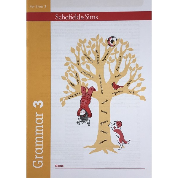 Grammar 3 (Year 3)