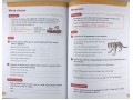 Grammar 3 (Year 3)