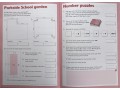 KS2 Problem Solving Book 4 (Year 6 & 6+)