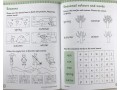 Understanding the World. The World