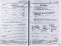 Scholastic Success with Writing Grade 4