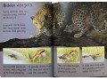 Usborne Beginners Dangerous Animals