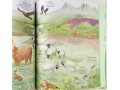 Big Picture Book Outdoors