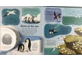 Look Inside Seas and Oceans