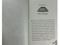 The Garden of Lost Secrets by A M Howell 