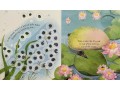 Peep Inside Springtime