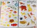 Nature. Usborne First Sticker Book