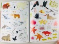 Nature. Usborne First Sticker Book