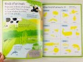 Nature. Usborne My Book About