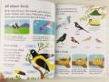 Nature. Usborne My Book About