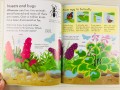 Nature. Usborne My Book About