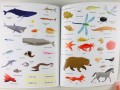 Nature. Usborne My Book About